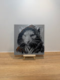 Tableau Splinter