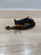 Moyen Dragon articulé Print'ech 3D