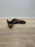 Petit Dragon articulé Print'ech 3D