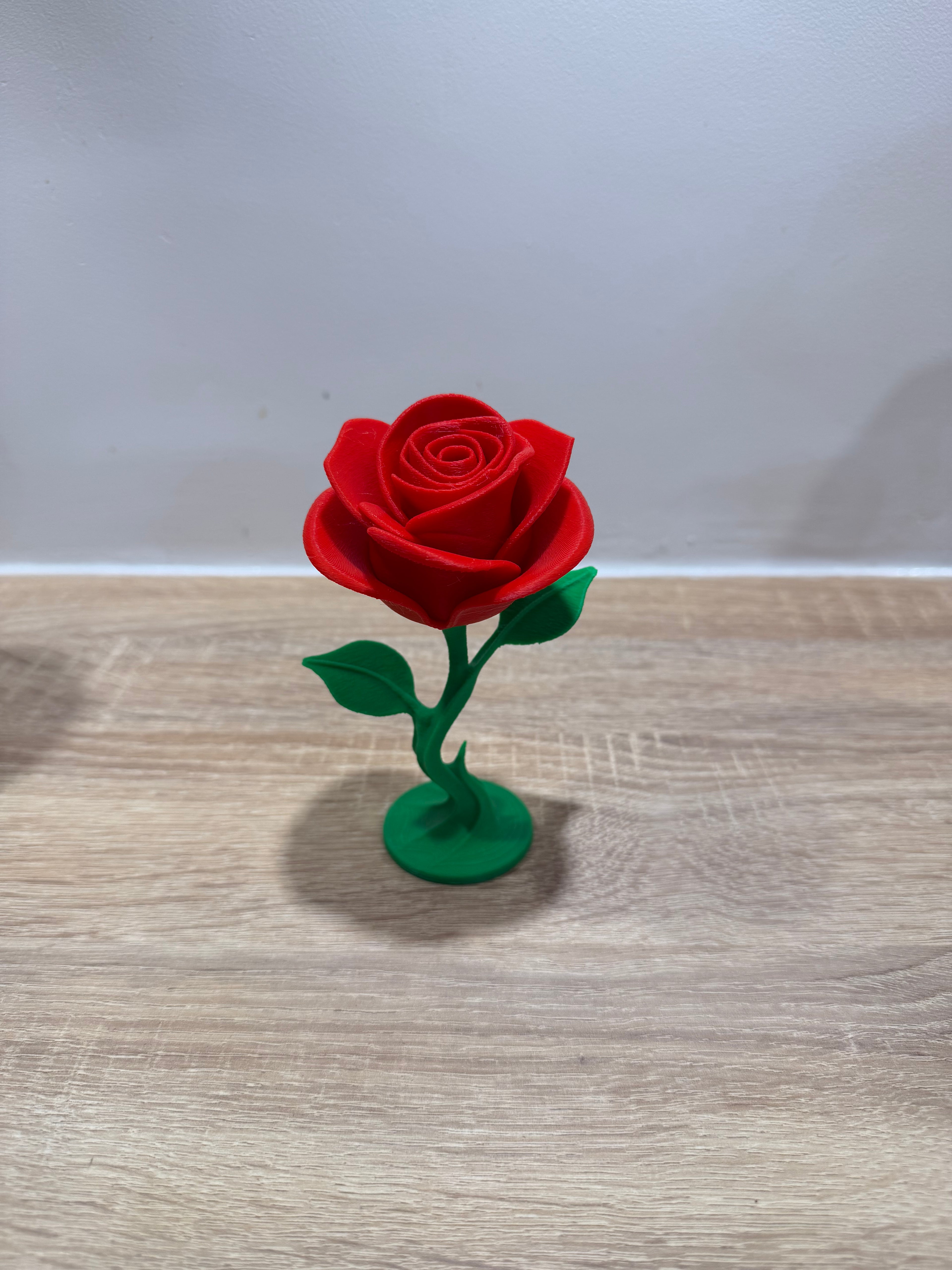 Rose